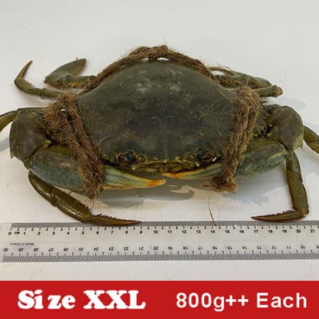 PROMO SIZE XXL 🦀 STANDARD – FREE SAUCE + MANTOU + DELIVERY