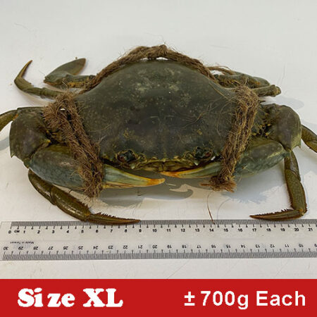 PROMO SIZE XL 🦀 STANDARD – FREE SAUCE + MANTOU + DELIVERY