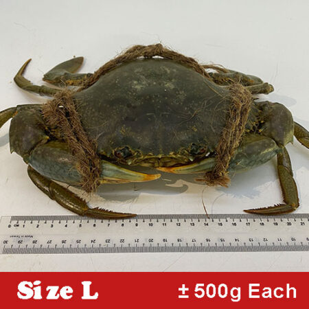 PROMO SIZE L 🦀 STANDARD – FREE SAUCE + MANTOU + DELIVERY